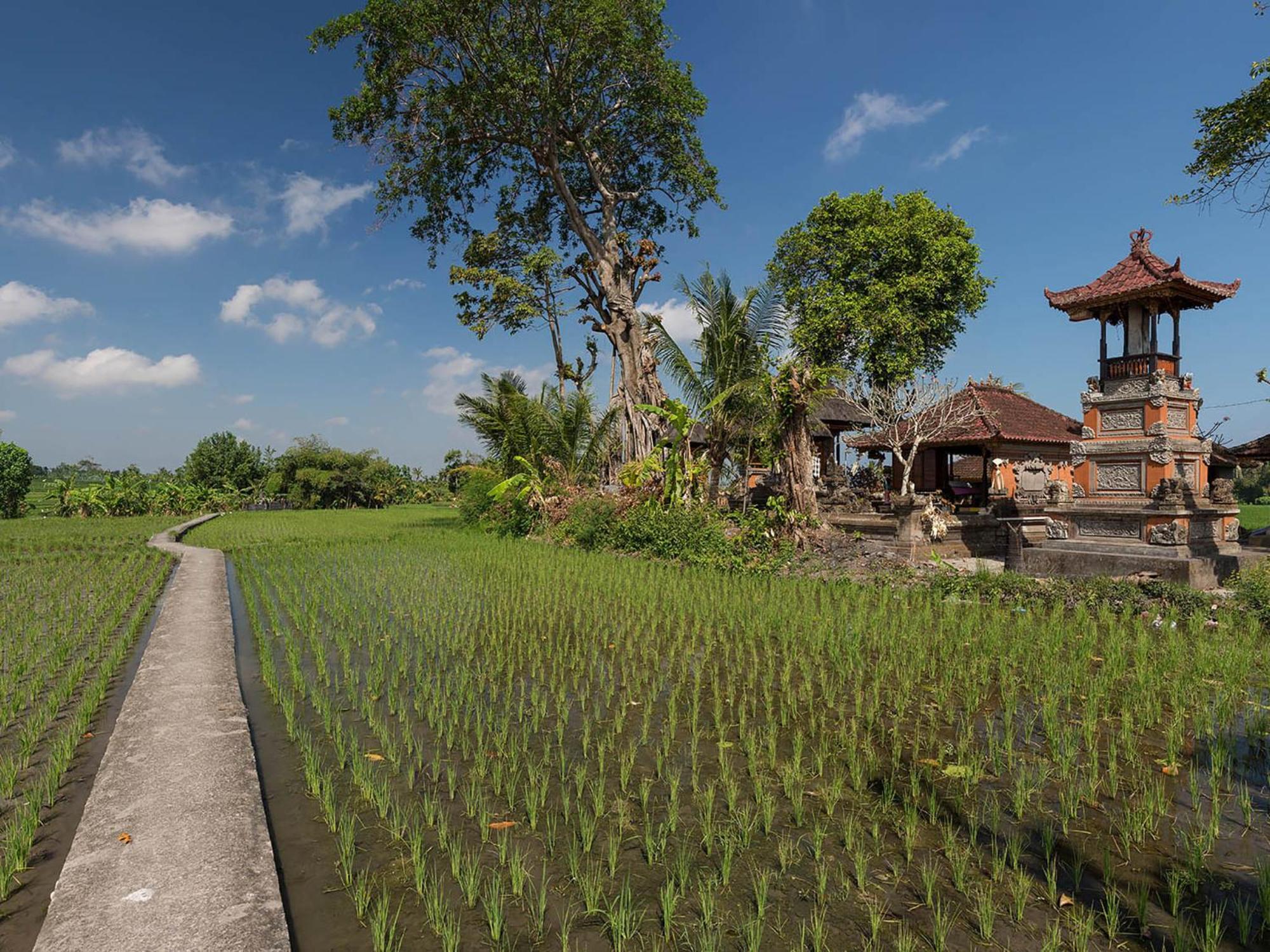 Seseh Beach Villas Canggu  Bilik gambar